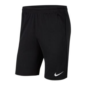 Nike Dri-FIT Park 20 M CW6152-010 shorts
