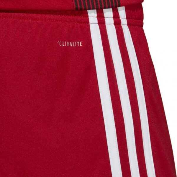 Adidas Tastigo 19 Shorts M DP3681 shorts