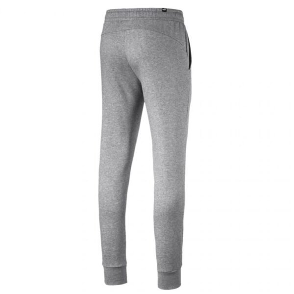 Pants Puma ESS Logo FL CL M 851753 03 gray
