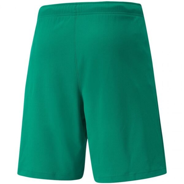 Puma teamRISE Short M 704942 05