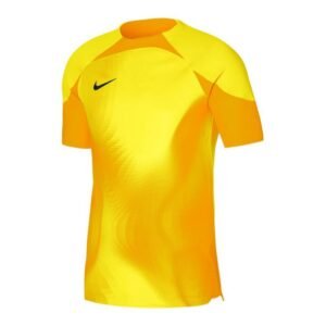 Nike Dri-FIT ADV Gardien 4 M DH7760-719 goalkeeper jersey