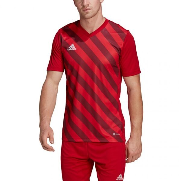 Adidas Entrada 22 Graphic Jersey M HB0572