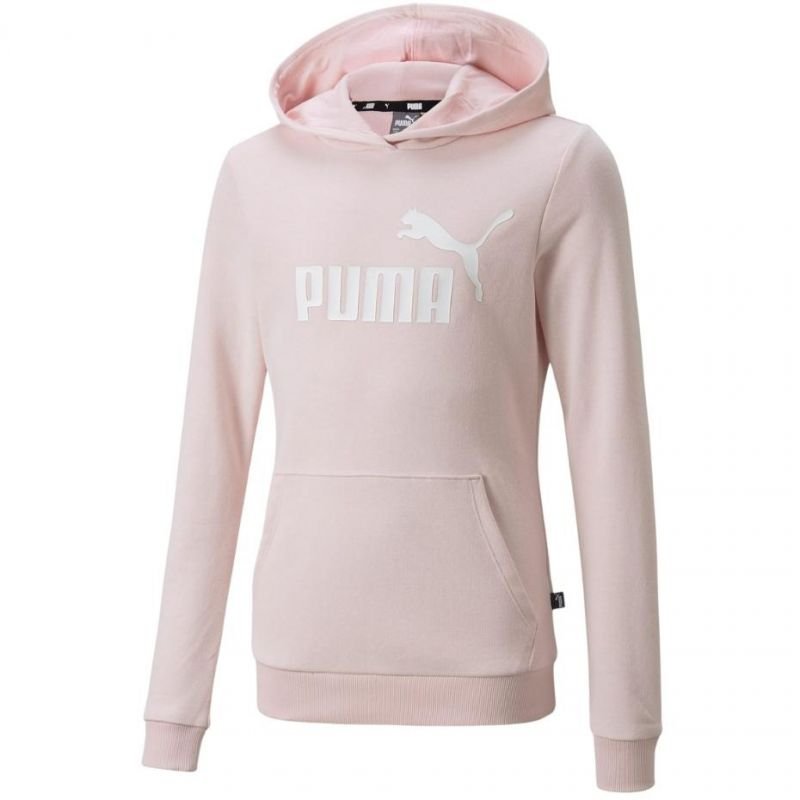 puma dri fit hoodie