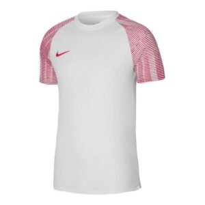 Nike Dri-Fit Academy SS M DH8031-100 T-shirt