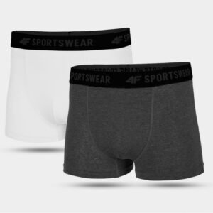 Boxer shorts 4F M H4L22-BIM350 92S