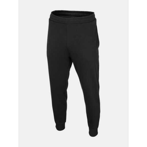 Trousers Outhorn M OTHAW22TTROM024-20S