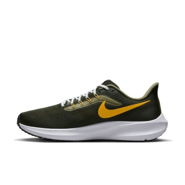 Running shoes Nike Pegasus 39 M FD0785-300