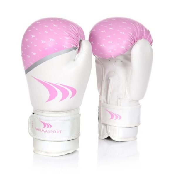Boxing gloves FERONIA 12 oz 10040212OZ