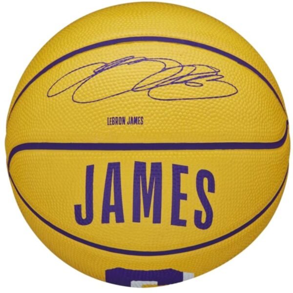 Ball Wilson NBA Player Icon Stephen Curry Mini Ball WZ4007401XB