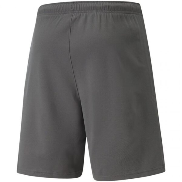 Puma teamRise Short M 704942 13