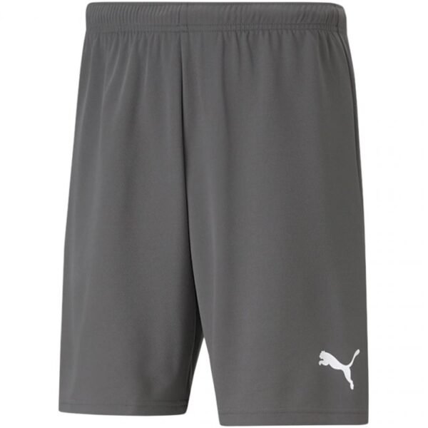 Puma teamRise Short M 704942 13 – S, Gray/Silver