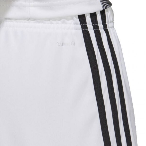 Adidas Tastigo 19 Shorts M DP3247 shorts