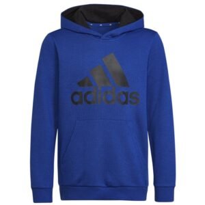 Sweatshirt adidas Big Logo Essentials Hoody Jr HN1912 – 140 cm, Blue