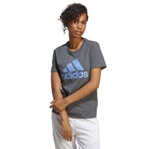 T-shirt adidas Big Logo Tee W IC0634 – S, Gray/Silver