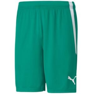 Puma teamLiga M 704924 05 shorts – S, Green