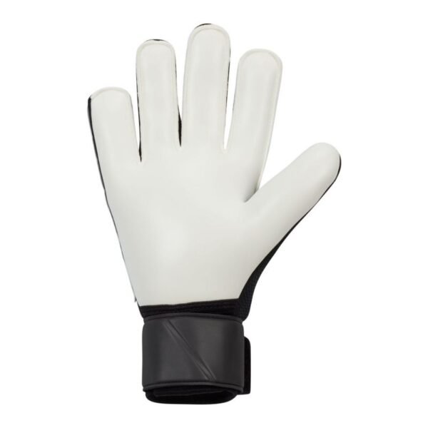Nike Match M FJ4862-011 goalkeeper gloves