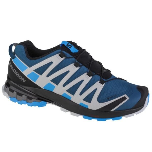 Salomon XA Pro 3D v8 GTX M 416292 running shoes – 46 2/3, Blue