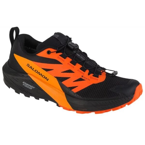 Salomon Sense Ride 5 GTX M 471473 running shoes – 44 2/3, Black