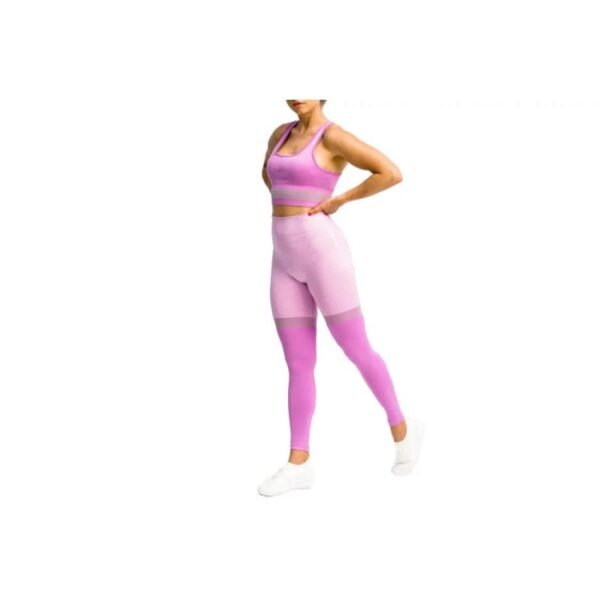 GymHero Leggings Stripes W MAUVE – XS, Violet