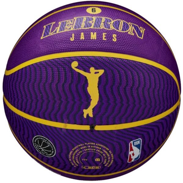 Wilson NBA Player Icon LeBron James Outdoor Ball WZ4027601XB