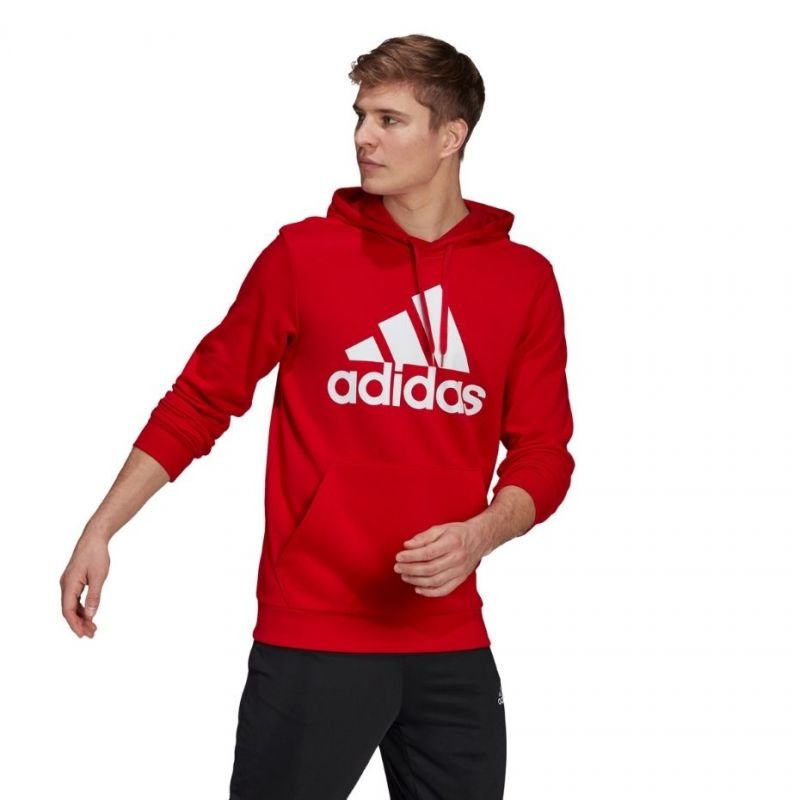 Sweatshirt adidas Essentials Big Logo M GV0249