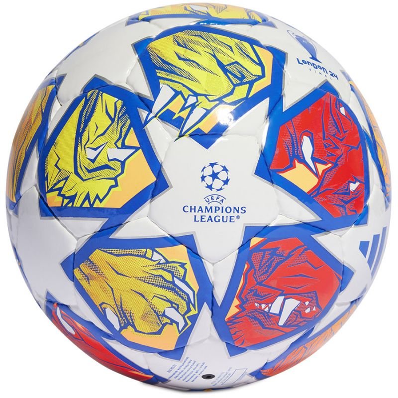 Football adidas UCL Pro Sala IN9339 – 4, Multicolour