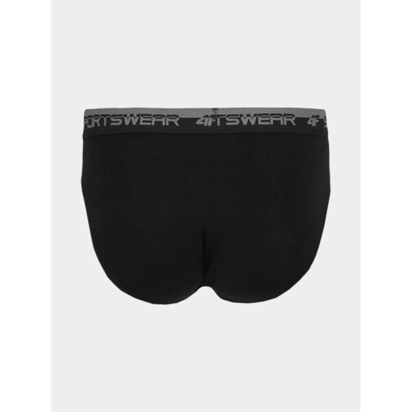 Underwear 4F M 4FWSS24UPTSM015-20S 2-pack
