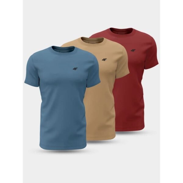 T-shirts 4F M 4FWSS24TTSHM1897-91S 3PAK – L, Multicolour