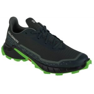 Salomon Alphacross 5 M 473117 running shoes – 44 2/3, Gray/Silver