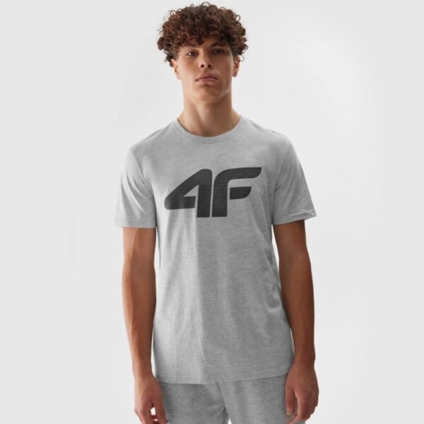 T-shirt 4F M 4FWSS24TTSHM1155 27M – XL, Gray/Silver