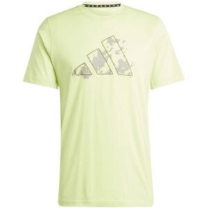 adidas Trail Essentials Seasonal Training Graphic T-shirt M IJ9602 – L, Green