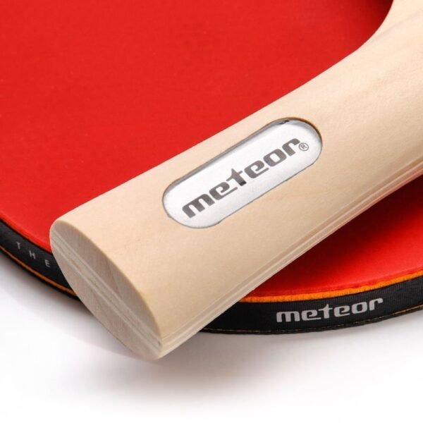 Meteor 15029 table tennis set