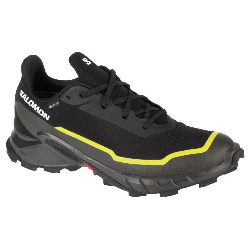 Salomon Alphacross 5 GTX M 474604 shoes – 42 2/3, Black