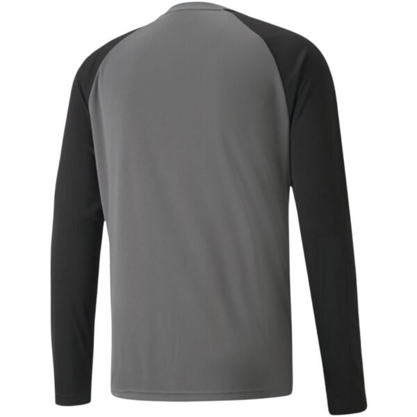 Puma teamPacer GK LS M goalkeeper sweatshirt 704933 43