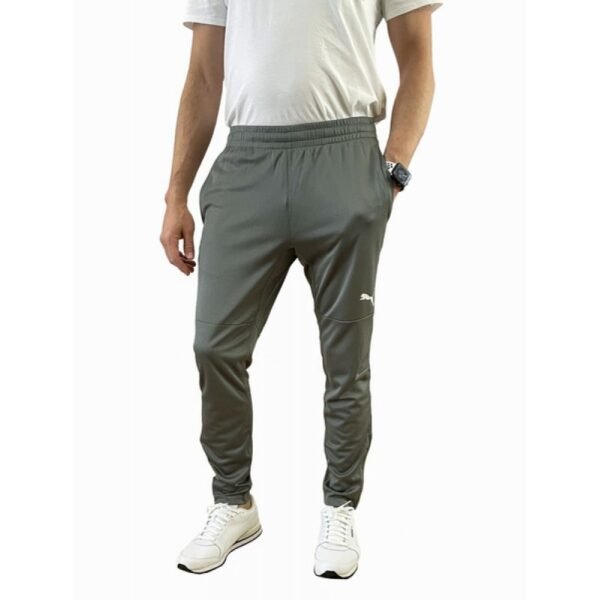 Puma Training M 65738 013 pants – L, Gray/Silver