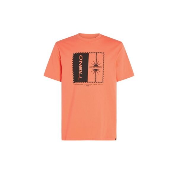 O’Neill Mix & Match Palm T-Shirt M 92800613905 – M, Orange