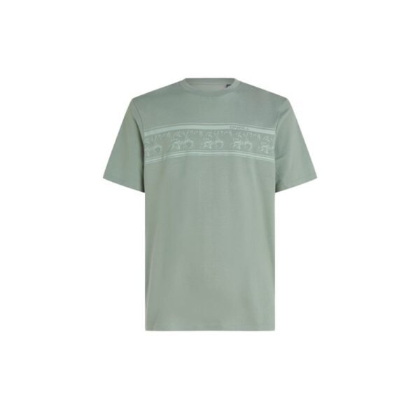 O’Neill Mix & Match Floral Graphic T-Shirt M 92800613889 – M, Green
