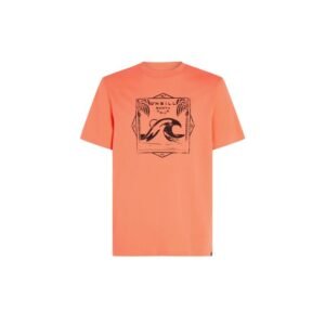 O’Neill Mix & Match Wave T-Shirt M 92800613917 – L, Orange