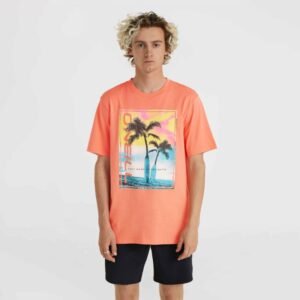 O’Neill Jack Neon T-Shirt M 92800613602 – L, Orange