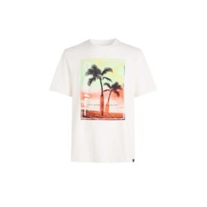 O’Neill Jack Neon T-Shirt M 92800613598 – L, White