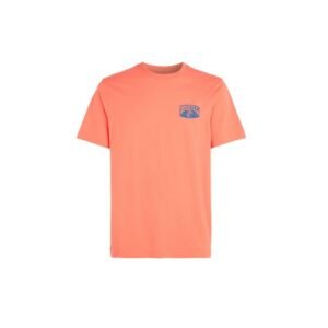 O’Neill Beach Graphic T-Shirt M 92800613976 – L, Orange