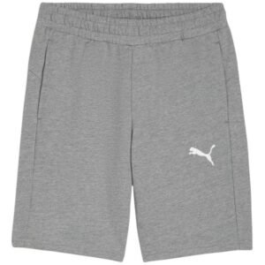 Puma teamGOAL Casuals M shorts 658608 33 – M, Gray/Silver