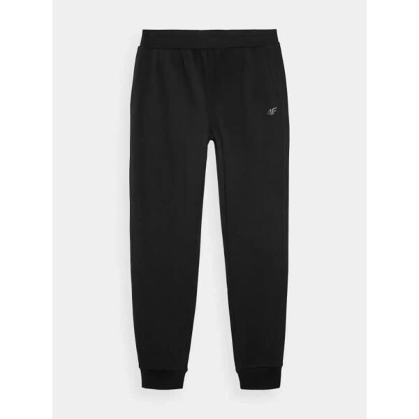 Trousers 4F M 4FWMM00TTROM0943-20S