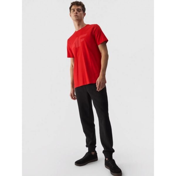 T-shirt 4F M 4FWMM00TTSHM1844-60S
