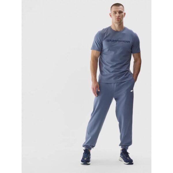 Sweatpants 4F M 4FWAW24TTROM1263-32S