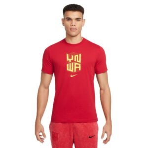 Nike Liverpool FC T-shirt M HJ4268-687